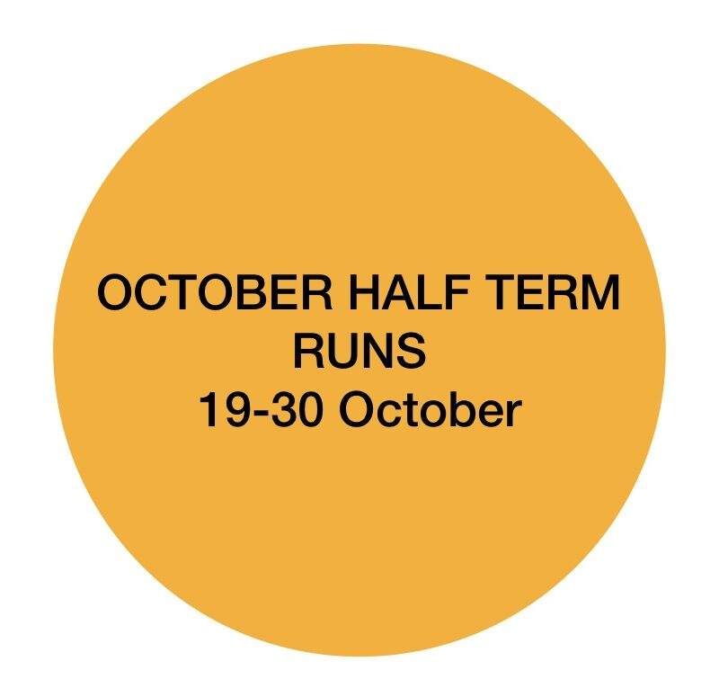October Half Term Holiday Sewing 10-2pm